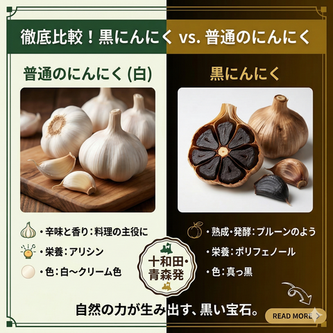 黒にんにくと普通のにんにく、何が違うの？栄養・味・においを徹底比較