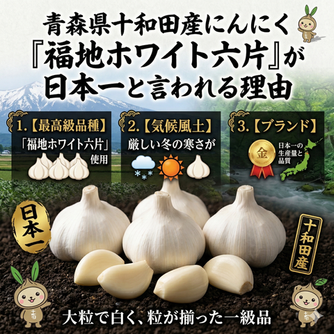 青森県十和田産にんにくが、なぜ日本一と言われるのか。産地と品質のこだわり